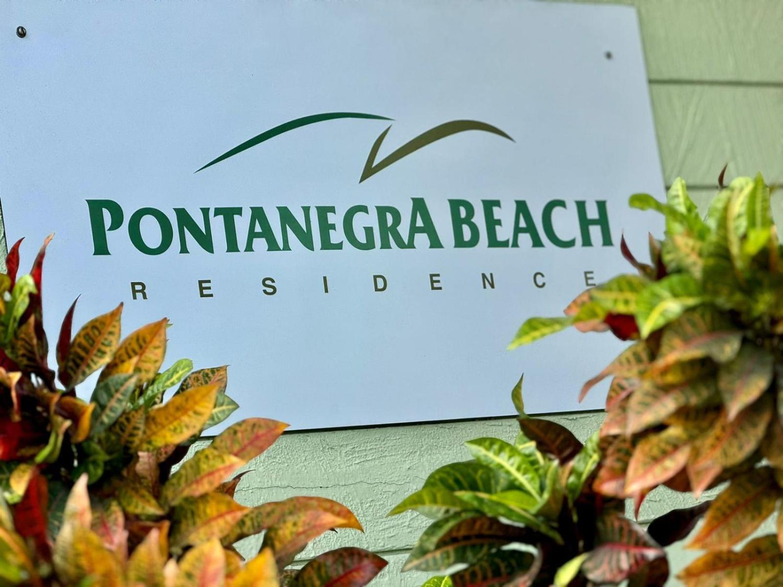 Edy Hospedagens Beira-Mar Flat 310 Com Vista Para O Morro Do Careca, Piscina E Localizacao Privilegiada ナタール エクステリア 写真